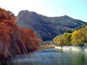 管家婆黑白马报图库，纵横书库